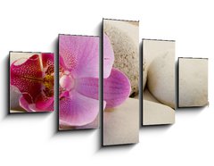 Obraz ptidln 5D - 125 x 70 cm F_GS6339584 - Orchidee mit Kieseln