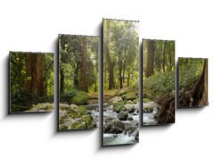 Obraz 5D ptidln - 125 x 70 cm F_GS64308418 - forest waterfall