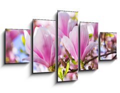Obraz 5D ptidln - 125 x 70 cm F_GS64325849 - Beautiful blossoming magnolia tree in the spring time