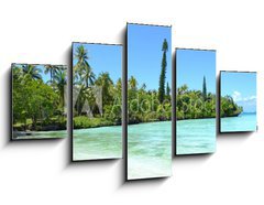Obraz 5D ptidln - 125 x 70 cm F_GS64376162 - Nouvelle caldonie
