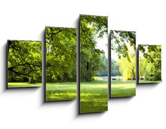 Obraz 5D ptidln - 125 x 70 cm F_GS64432379 - Lush forest - Sv les