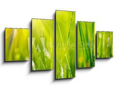 Obraz 5D ptidln - 125 x 70 cm F_GS64529085 - Fresh green grass with dew drops closeup. Soft Focus