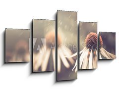 Obraz 5D ptidln - 125 x 70 cm F_GS64765134 - summer flower under rain