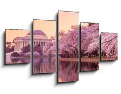 Obraz 5D ptidln - 125 x 70 cm F_GS64932334 - the Jefferson Memorial during the Cherry Blossom Festival