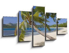 Obraz 5D ptidln - 125 x 70 cm F_GS65416367 - Tropical Paradise - Fiji - South Pacific Ocean - Tropick rj