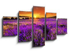 Obraz 5D ptidln - 125 x 70 cm F_GS66255723 - Lavender - Levandule