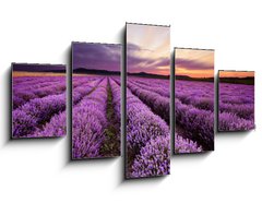 Obraz 5D ptidln - 125 x 70 cm F_GS67101822 - Sunrise in Lavender Field - Vchod slunce v lavinovm poli
