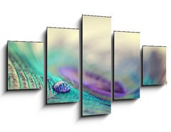 Obraz   Peacock feather and drop, 125 x 70 cm