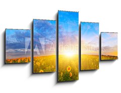 Obraz 5D ptidln - 125 x 70 cm F_GS67337702 - Morning sunflower field