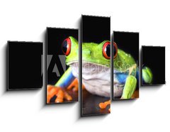 Obraz 5D ptidln - 125 x 70 cm F_GS6752978 - frog closeup on black - ba detailn na ern