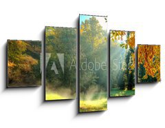 Obraz   Beautiful autumn tree with fallen dry leaves, 125 x 70 cm