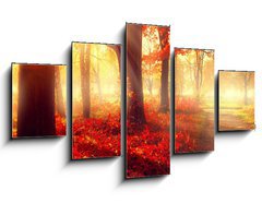 Obraz 5D ptidln - 125 x 70 cm F_GS69511191 - Fall scene. Beautiful autumnal park in sunlight