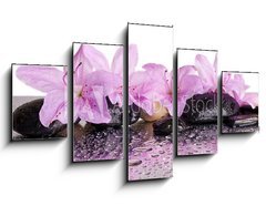 Obraz   flowers and black stones with reflection, 125 x 70 cm