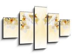 Obraz 5D ptidln - 125 x 70 cm F_GS72852358 - Beautiful white orchid