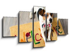 Obraz 5D ptidln - 125 x 70 cm F_GS73116832 - Cute dog posing on the carpet