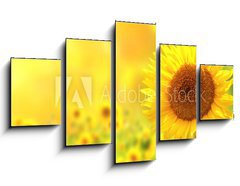 Obraz 5D ptidln - 125 x 70 cm F_GS76362209 - Sunflowers