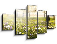 Obraz 5D ptidln - 125 x 70 cm F_GS78313786 - abstract sunny beautiful Spring background