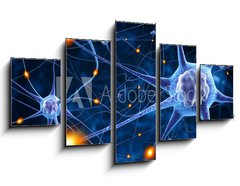 Obraz 5D ptidln - 125 x 70 cm F_GS78707112 - nerve cells - nervov buky