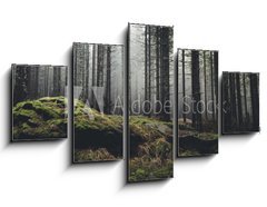 Obraz   wilderness landscape forest with pine trees and moss on rocks, 125 x 70 cm