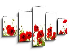 Obraz 5D ptidln - 125 x 70 cm F_GS81019876 - red poppy