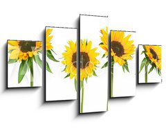 Obraz ptidln 5D - 125 x 70 cm F_GS814278 - sunflowers