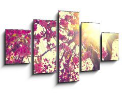 Obraz   Spring blossom. Beautiful nature scene with blooming tree, 125 x 70 cm
