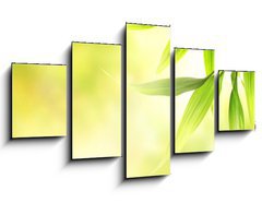 Obraz 5D ptidln - 125 x 70 cm F_GS8266726 - Green bamboo leaves over abstract blurred background - Zelen bambus opout pes abstraktn rozosten pozad