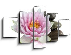 Obraz   Fleur de lotus et galets zen, 125 x 70 cm