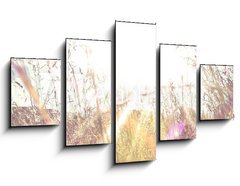 Obraz 5D ptidln - 125 x 70 cm F_GS84657670 - Sun rays on a meadow