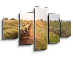 Obraz 5D ptidln - 125 x 70 cm F_GS86512213 - Harvested lavender field - Sbr levandule pole