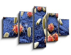 Obraz   Bacteria and viruses on surface of skin, mucous membrane or intestine, model of MERS, HIV, flu, Escherichia coli, Salmonella, Klebsiella, Legionella, Mycobacterium tuberculosis, model of microbes, 125 x 70 cm