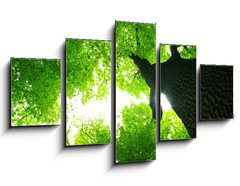 Obraz ptidln 5D - 125 x 70 cm F_GS9016603 - green leaves - zelen listy
