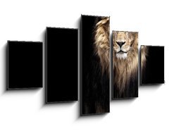 Obraz   Portrait of a Beautiful lion, lion in the dark, 125 x 70 cm