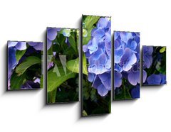 Obraz ptidln 5D - 125 x 70 cm F_GS9180840 - hortensia