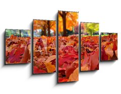 Obraz 5D ptidln - 125 x 70 cm F_GS95226612 - autumn leaves