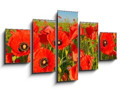 Obraz   Poppies, 125 x 70 cm