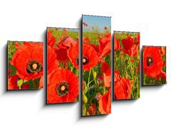 Obraz   Poppies, 125 x 70 cm