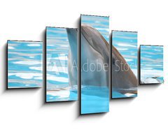 Obraz 5D ptidln - 125 x 70 cm F_GS95423 - delfn - dolphin
