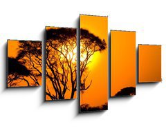 Obraz   african sunset in savannah, kenya, 125 x 70 cm