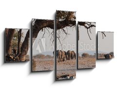 Obraz 5D ptidln - 125 x 70 cm F_GS98815534 - Elefantenherde verl  sst das Wasserloch  Etosha  Namibia