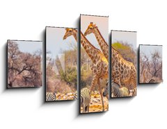 Obraz 5D ptidln - 125 x 70 cm F_GS99320619 - Giraffes and zebras at waterhole