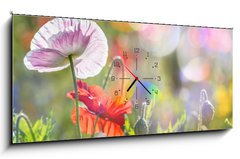 Obraz s hodinami 1D - 120 x 50 cm F_AB100107634 - spring meadow with red poppies - jarn louka s ervenmi mky