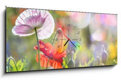 Obraz s hodinami 1D - 120 x 50 cm F_AB100107634 - spring meadow with red poppies - jarní louka s červenými máky
