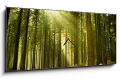 Obraz s hodinami 1D panorama - 120 x 50 cm F_AB10017097 - Pine forest with the last of the sun shining through the trees. - Borový les s posledním sluncem, které září stromy.