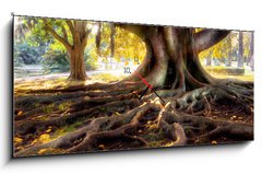 Obraz s hodinami   Centenarian tree with large trunk and big roots above the ground, 120 x 50 cm