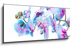 Obraz s hodinami   stem of blue orchids, 120 x 50 cm