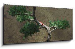 Obraz s hodinami 1D panorama - 120 x 50 cm F_AB104394610 - Decorative Bonsai Tree - Dekorativn strom bonsai