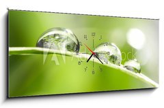 Obraz s hodinami 1D panorama - 120 x 50 cm F_AB10523308 - drops with green grass - kapky se zelenou trávou