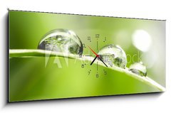 Obraz s hodinami   drops with green grass, 120 x 50 cm