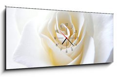 Obraz s hodinami 1D panorama - 120 x 50 cm F_AB11152099 - Schneeweisschen oder die wei e Rose